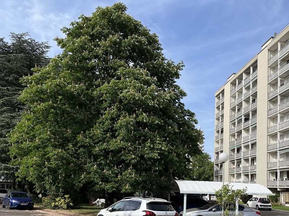 Vente Appartement Appartement Bourg En Bresse 5 pièce(s) 79.14 m2 Bourg en bresse