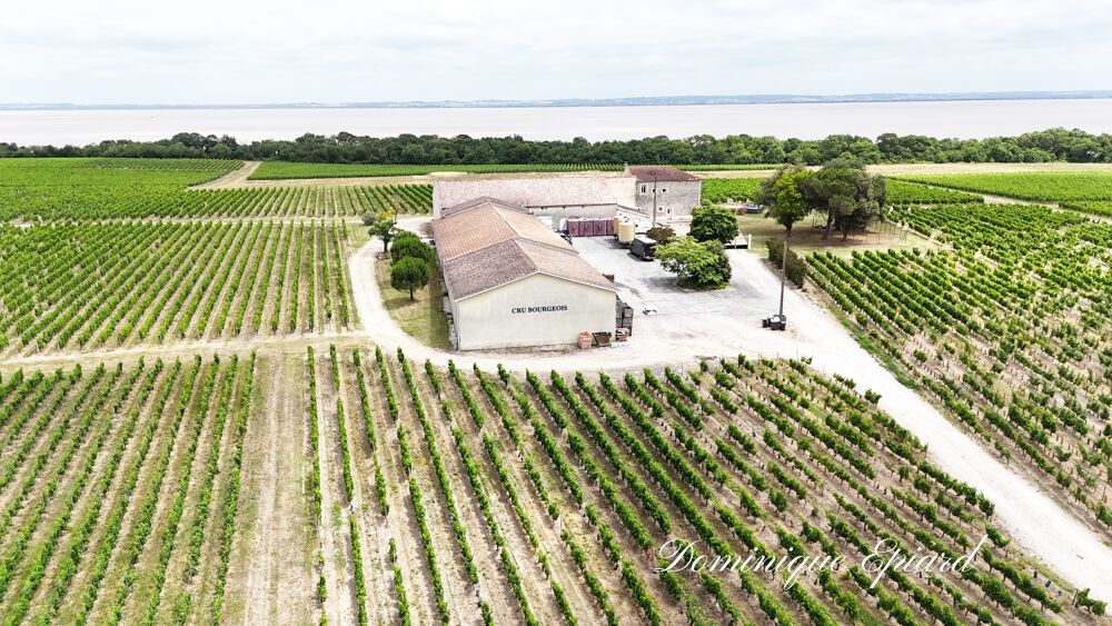 Vente Propriété/Château Exclusivité À VENDRE Vignoble Cru Bourgeois Médoc Vue exceptionnelle Saint yzans de medoc