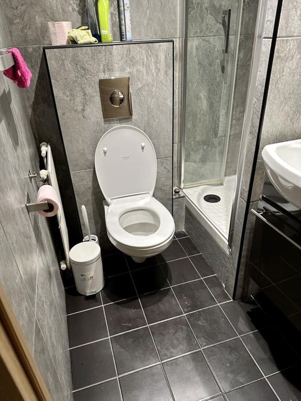 Location Appartement Chambre de 15m2 à louer sur Nogent-sur-Marne Nogent sur marne