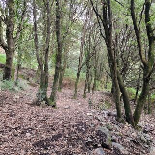  Terrain � vendre 5784 m�