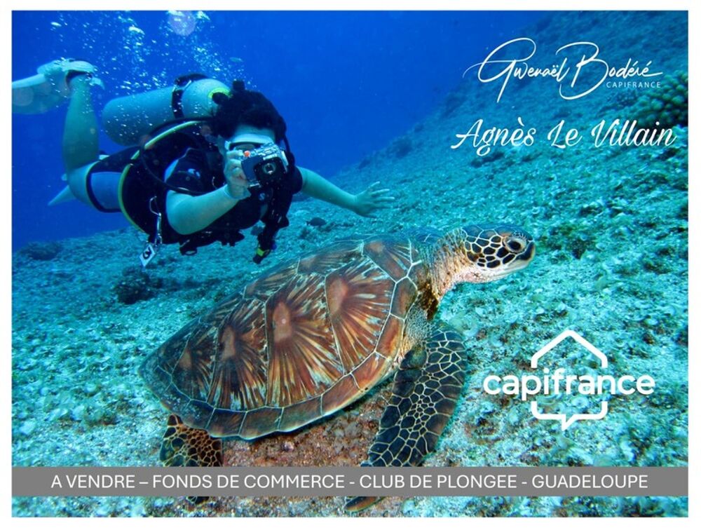   À Vendre Fonds de Commerce Centre de Plongée Emplacement d'Exception à Bouillante (Guadeloupe) 