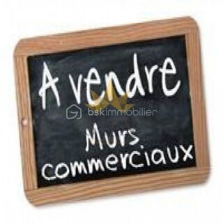  Maison � vendre 8 pi�ces 245 m�