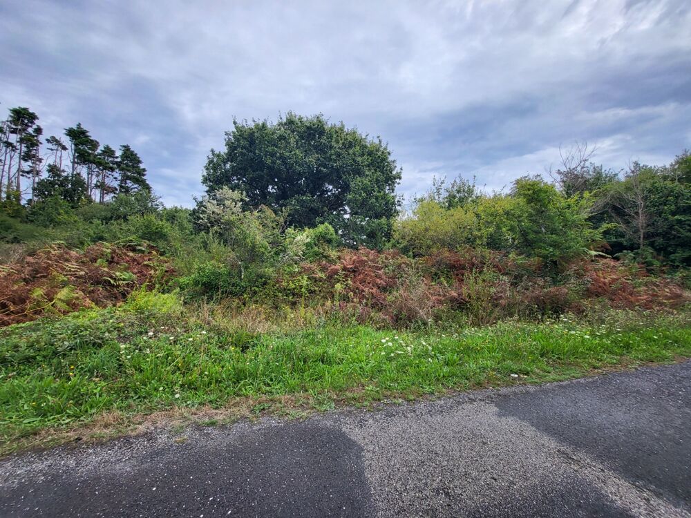 Vente Terrain Terrain non constructible à vendre  CROZON (29) Crozon