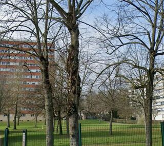  Appartement � vendre 4 pi�ces 65 m�