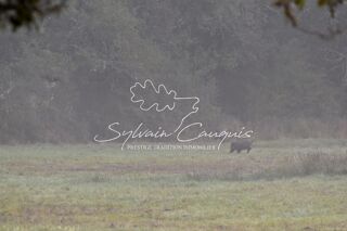  Propri�t�/ch�teau � vendre 15 + pi�ces 800 m�