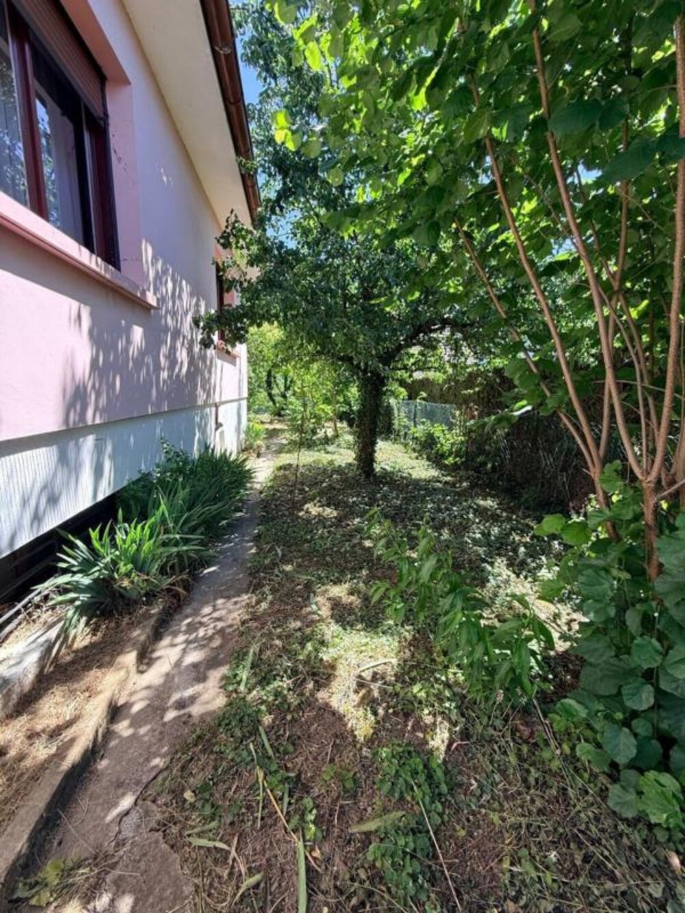 Maison à vendre 5 pièces GOXWILLER (67)