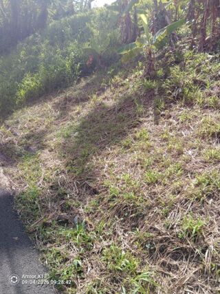 Vente Terrain Terrain de 689 m 2 a vendre au francois Le francois