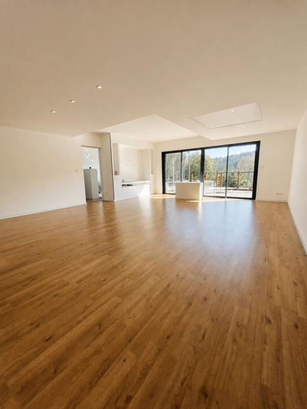 Vente Maison Magnifique Maison Contemporaine en Bois - 106,17  m² Salernes