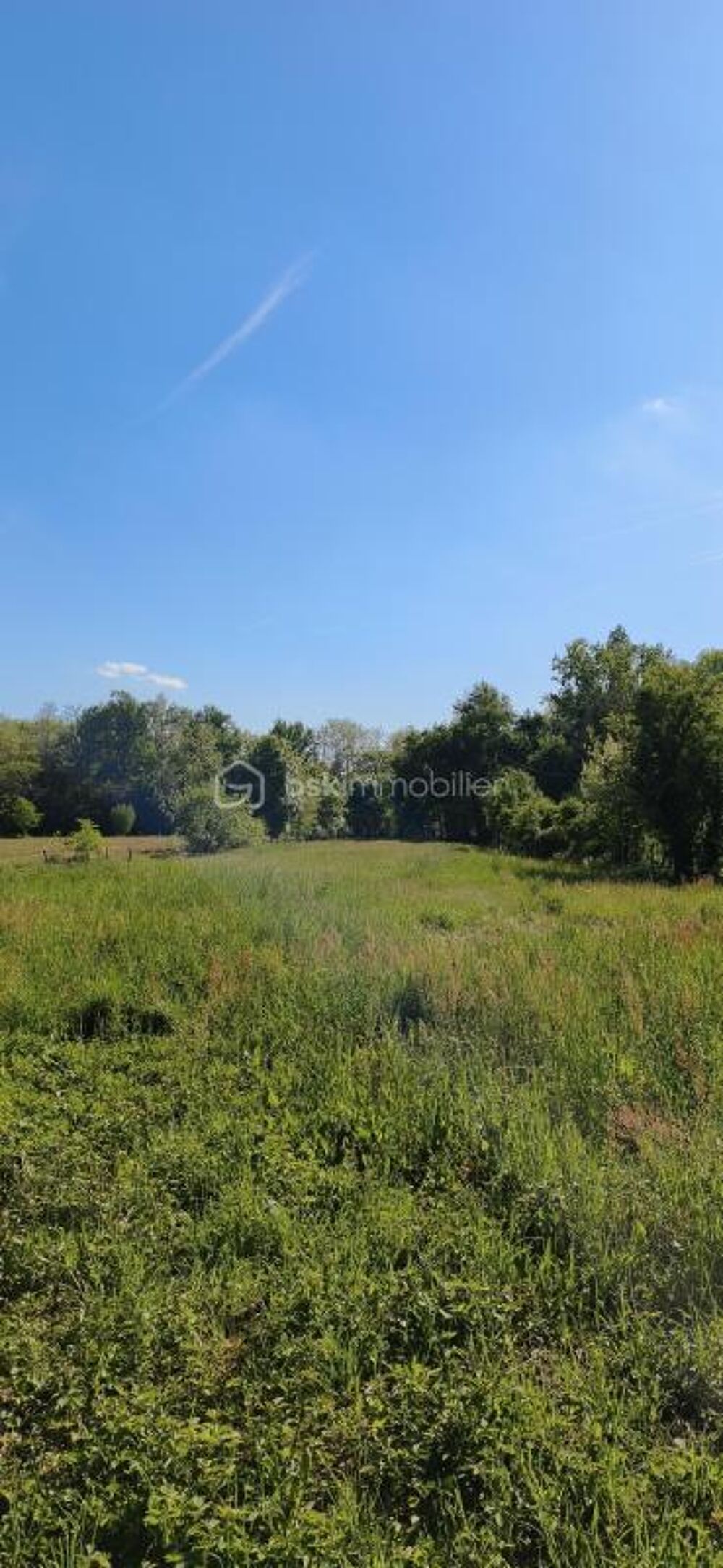 Vente Terrain RARE ET AU CALME - TERRAIN CONSTRUCTIBLE DE 3245 M2 A ALBIAS Albias
