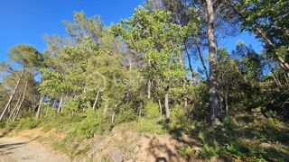  Terrain � vendre 8430 m�