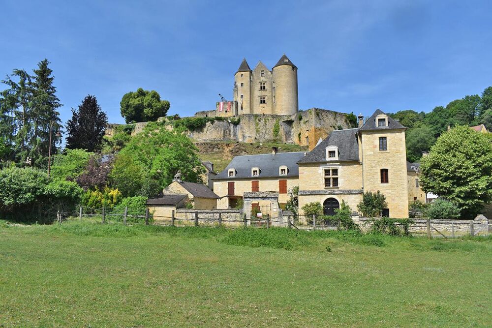 Demeure de prestige Salignac Eyvignes 9 pièce(s) 275 m2