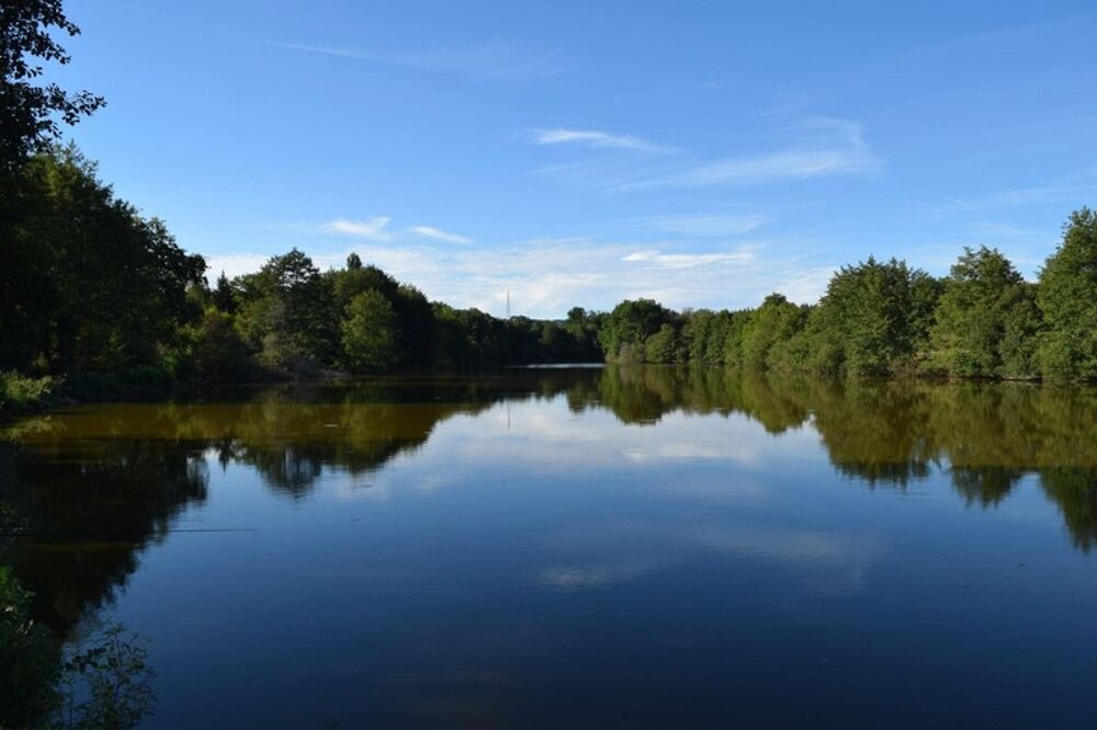Vente Maison propriété équestre avec gîte & 14 hectares – Javerdat (Haute-Vienne) Javerdat