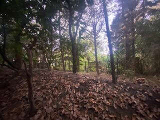  Terrain � vendre 1057 m�