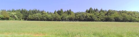   Propriété FORESTIERE GIRY (58) Propriété/château - 1 pièce(s) - 239631 m²