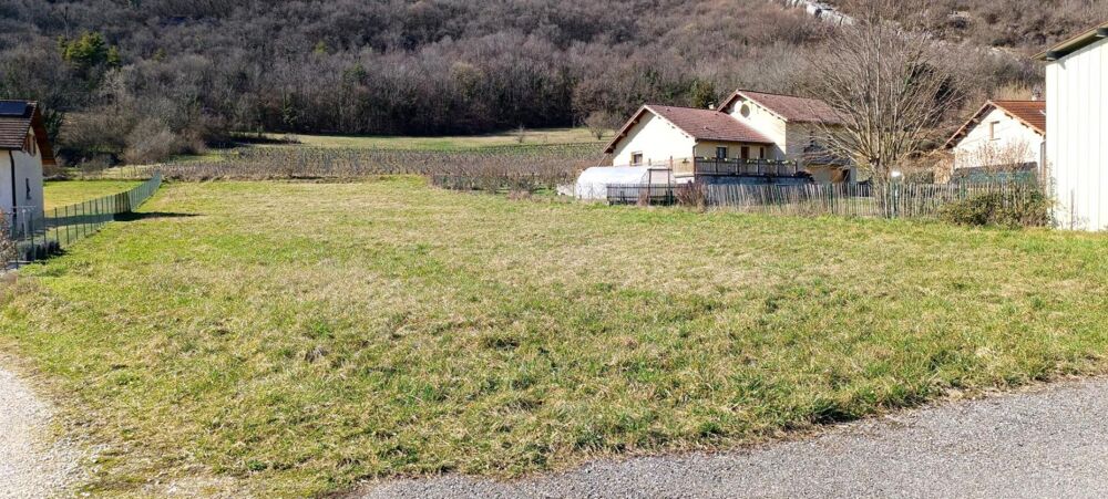 Vente Terrain Terrain constructible 2 230 m² Crapéou  Conzieu Conzieu
