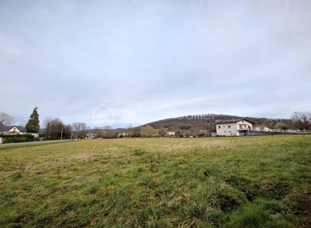 Vente Terrain grand terrain plat Montsaunes