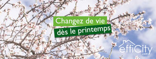  Appartement à vendre 2 pièces 41 m²