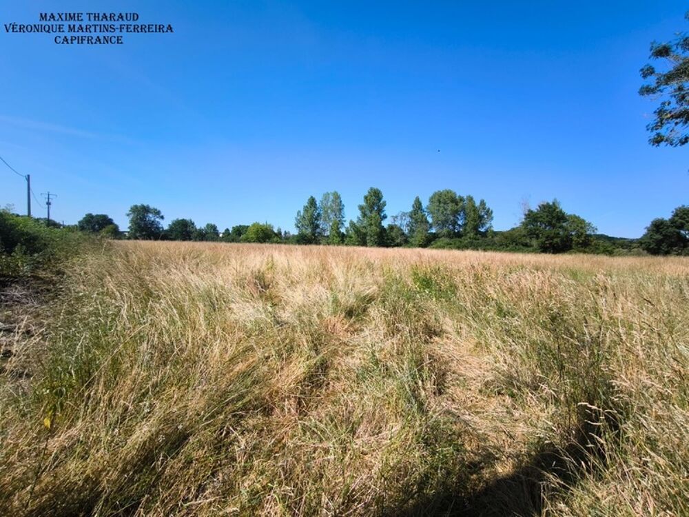 Vente Terrain Terrain non constructible de 12 560 m² à Châtres-sur-Cher (41) En bordure du Cher Chatres sur cher