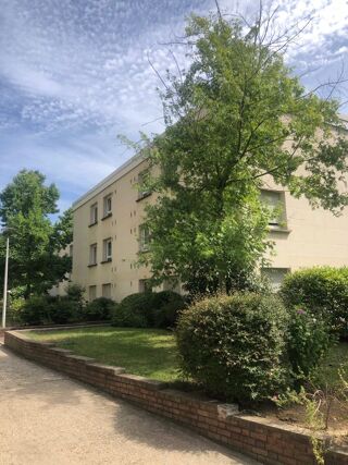  Appartement à louer 1 pièce 20 m²