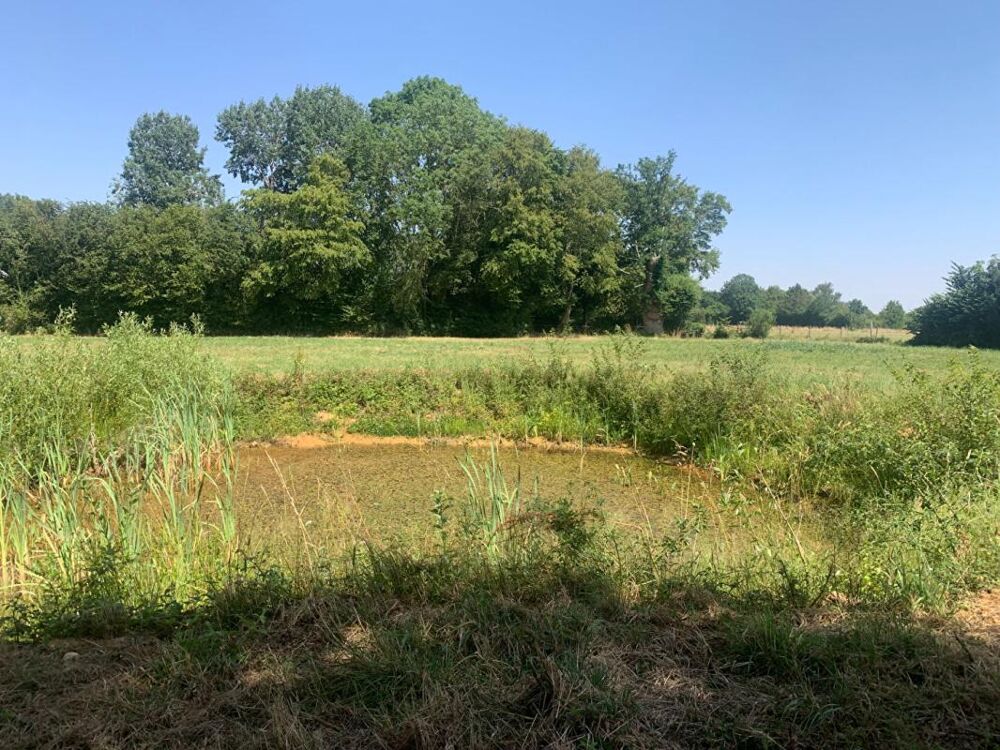 Vente Terrain TRES BEAU TERRAIN AU CALME Mesnil en ouche