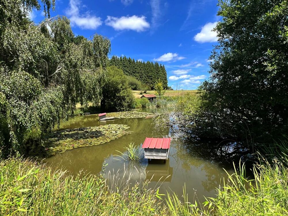 Vente Terrain Etang avec chalet (s) 35 m2 Sarlande