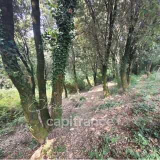  Terrain � vendre 5784 m�