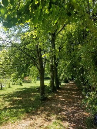  Maison � vendre 11 pi�ces 265 m�