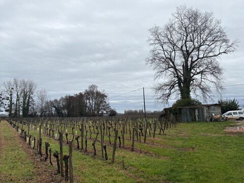   Investissement foncier rare en AOC Saint-Émilion - Domaine viticole 