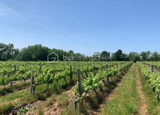  Propriété/château à vendre 5 pièces 136 m²