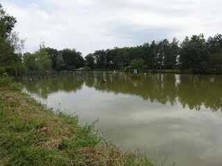  Propri�t�/ch�teau � vendre 7 pi�ces 110 m�