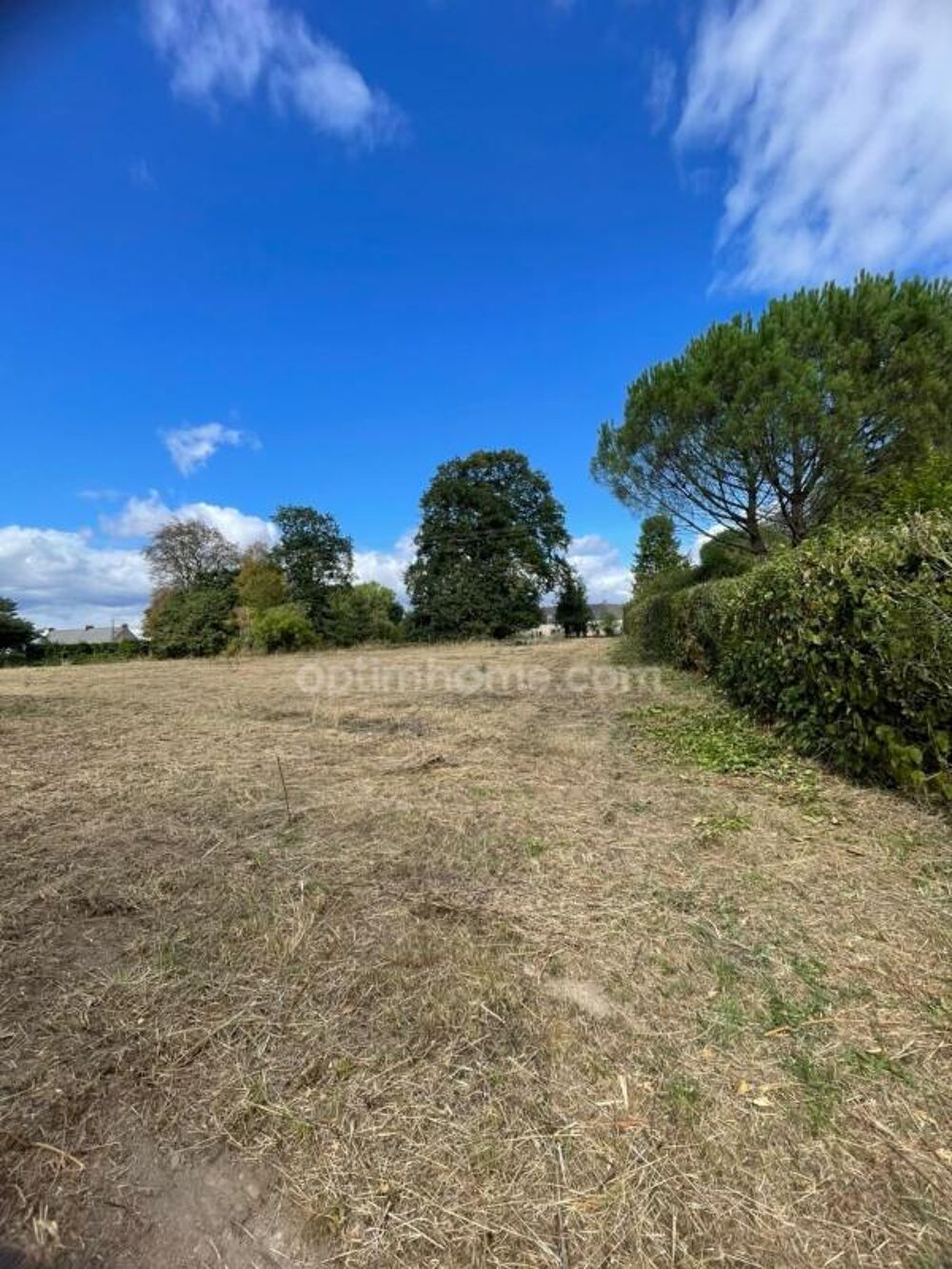 Vente Terrain Belle parcelle arborée de 1 695 m² aux portes des accès 4 voies à Ploërmel Ploermel