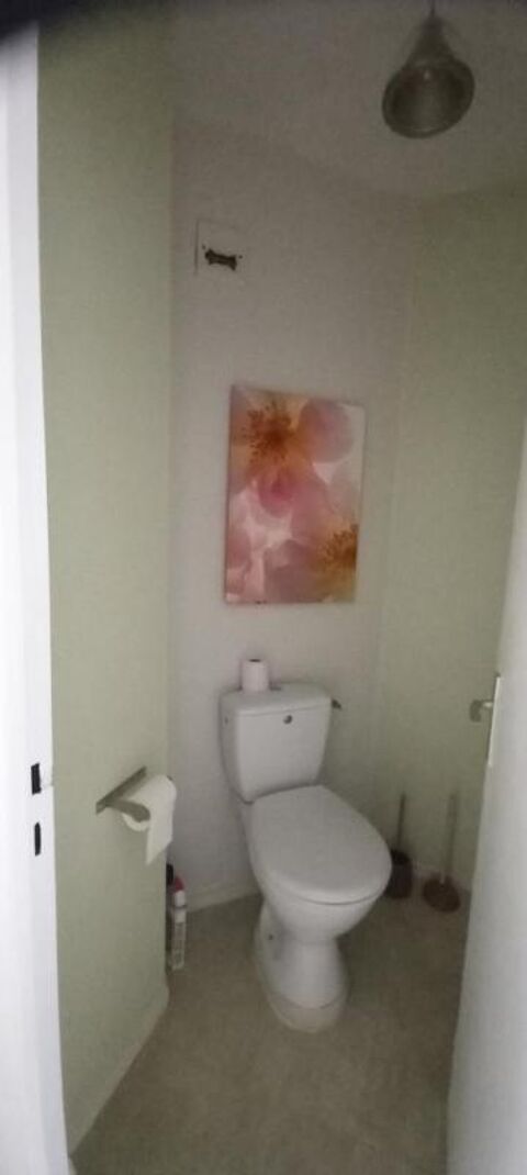  Appartement  louer 2 pices 54 m