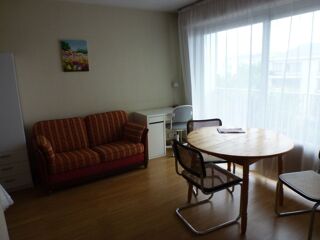  Appartement à louer 1 pièce 30 m²