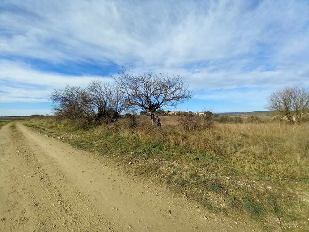 Vente Terrain 4,5 hectares de terre agricole avec  Grange de 95m2 à REHABILITER sur le terrain Caux