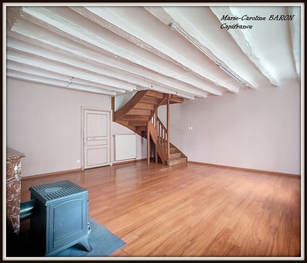 Maison avec cour, grand sejour BUZANCAIS (36)