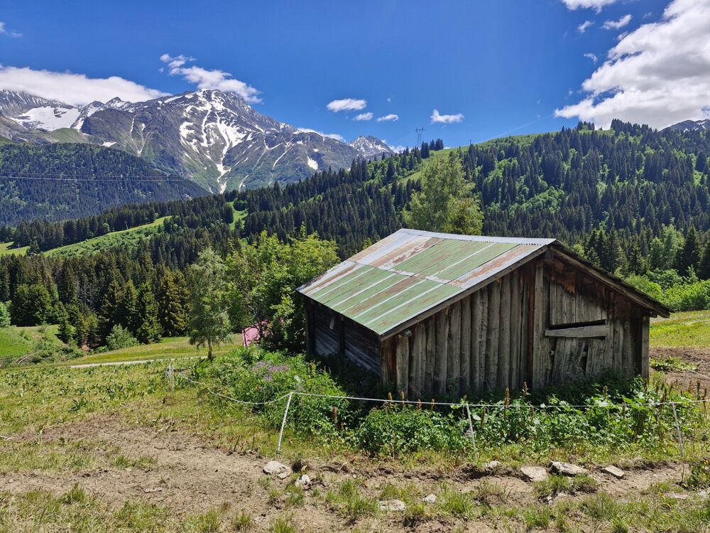 Vente Propriété/Château Chalet d'alpage à rénover LES CONTAMINES MONTJOIE (74) Les contamines montjoie