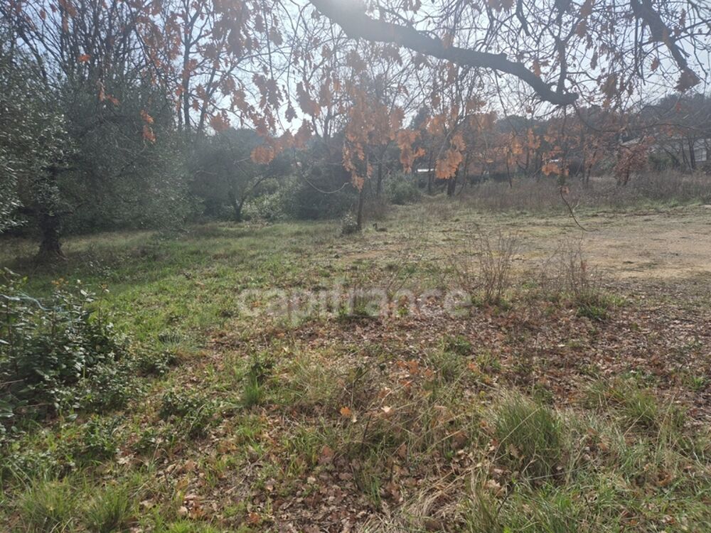 Vente Terrain Terrain à vendre Vezenobres Vezenobres