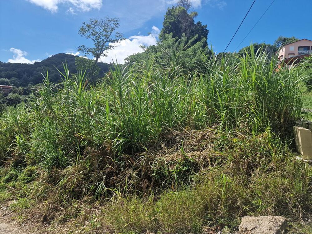 Vente Terrain Terrain  585 m2 Le vauclin