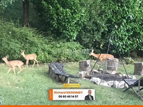   2 Chalets 3 pi�ces 42m� camping SAINT CHERON (91) Chalet - 3 pi�ce(s) - 42 m�