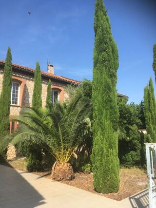  Appartement à louer 2 pièces 42 m²