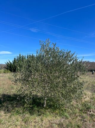  Terrain � vendre 2600 m�