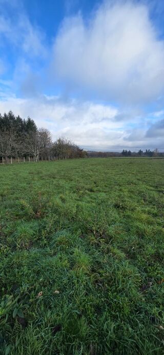  Terrain  vendre 1262 m