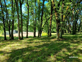  Terrain à vendre 8000 m²