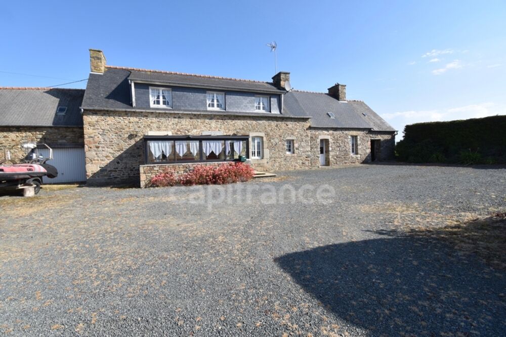 Maison en pierre avec grand terrain
