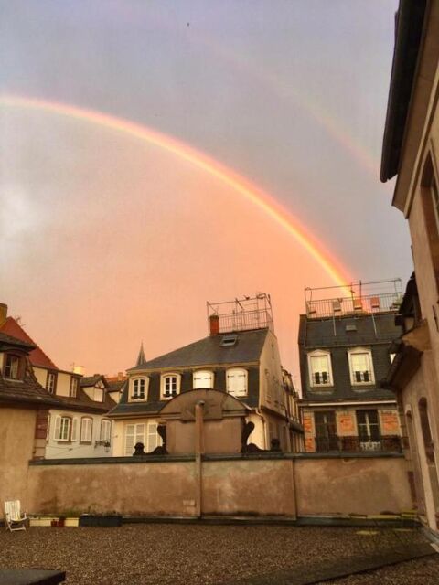  Appartement  louer 3 pices 50 m