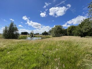  Propriété/château à vendre 15 + pièces 800 m²