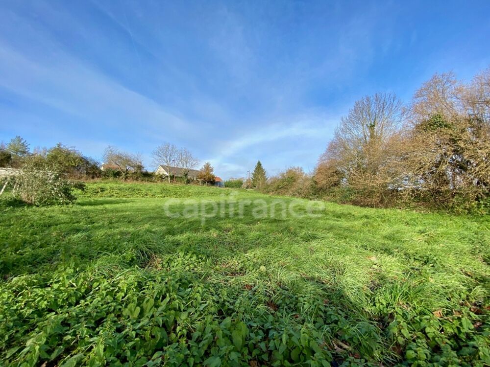 Vente Terrain Terrain à vendre Quinssaines (03) 1352m² - Cadre verdoyant - Forêt Quinssaines
