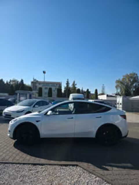Model Y Standard RWD 2024 occasion 33000 Bordeaux