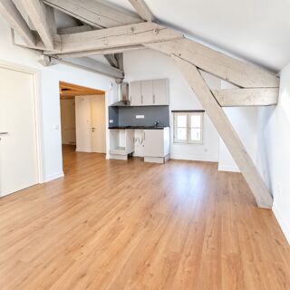 Location Duplex/Triplex T3 EN DUPLEX à CLERMONT FERRAND Clermont ferrand