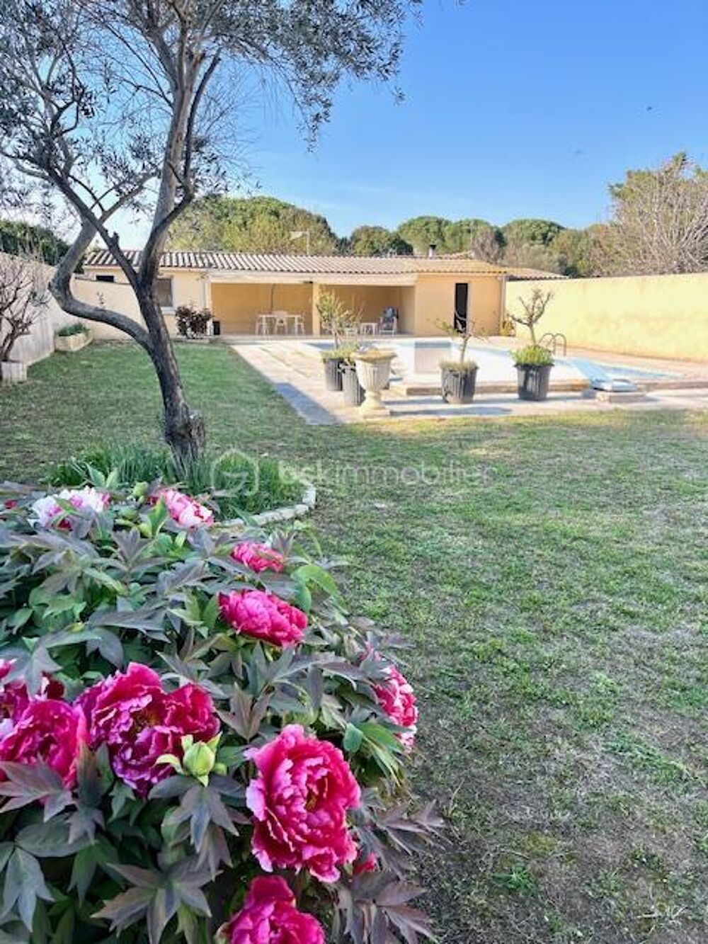 LANSARGUES  PROPRIÉTÉ AVEC MAISON DE 210 M², HANGAR DE 240 M², PISCINE ET POOL HOUSE